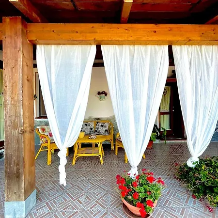 Beautiful Surrounded By Greenery